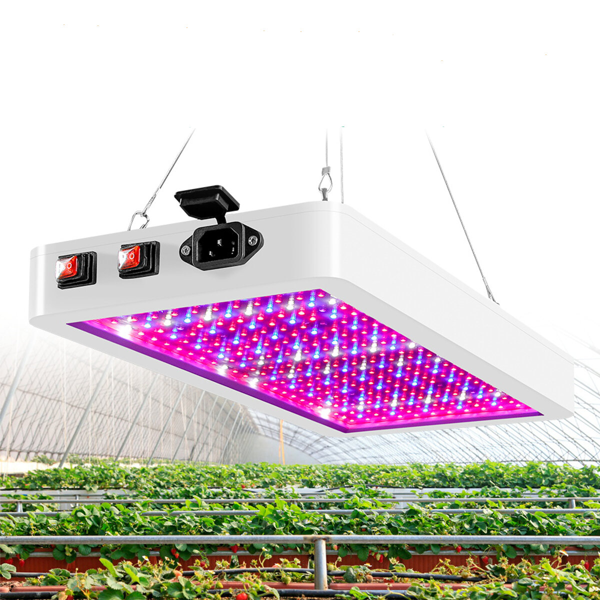 Image of 110V~220V 216/312LED Grow Light Plant Lamp Panel Full Spectrum For Indoor Hydroponic Flower