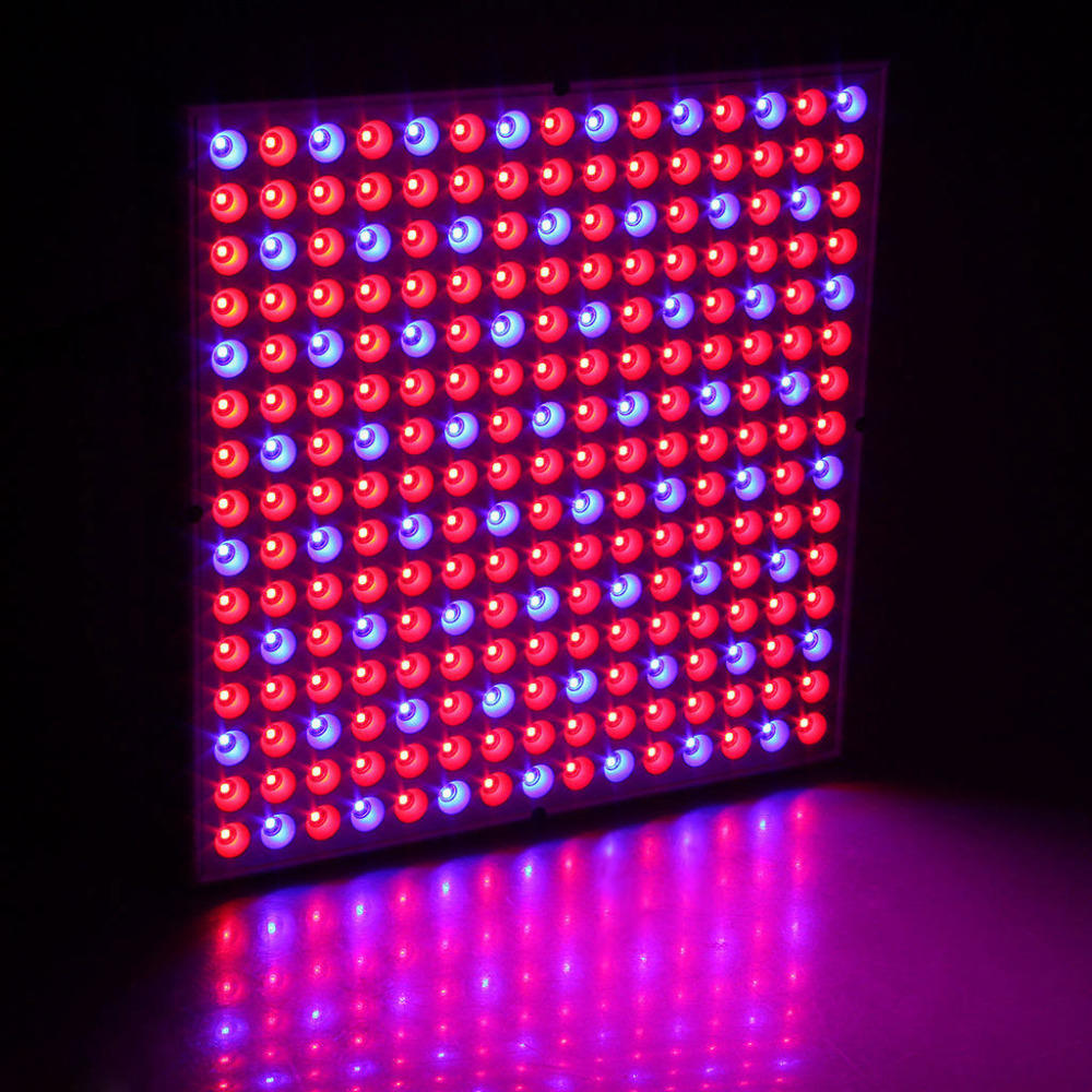 Image of 45W 200W Reflector Cup Full Spectrum Led Grow Lights For Grow Tent Box Indoor Greenhouse