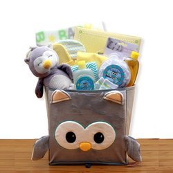 Image of A Little Hoot New Baby Gift Basket
