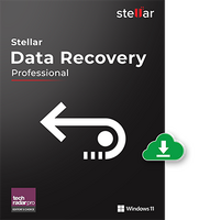 Image of AVT002 Stellar Data Recovery Professional for Windows ID 4605220