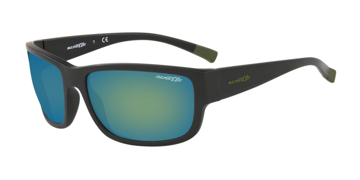 Image of Arnette AN4256 Bushwick 01/8N Óculos de Sol Pretos Masculino BRLPT