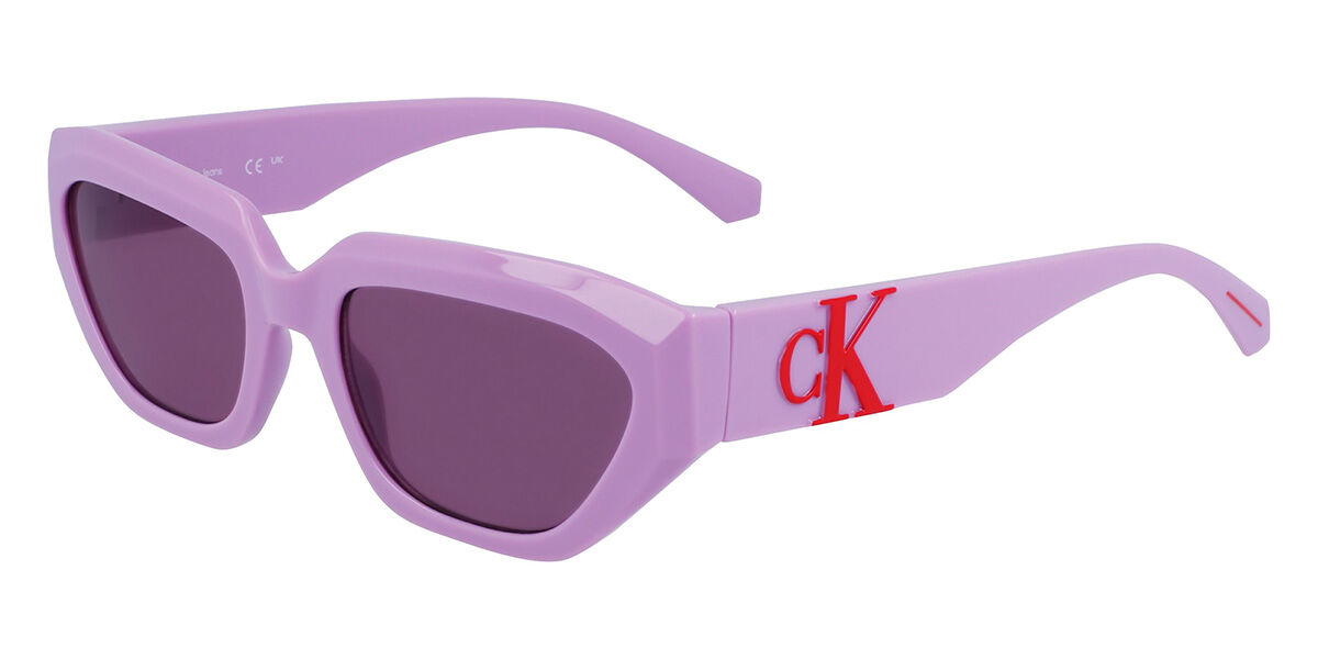 Image of Calvin Klein Jeans CKJ23652S 540 Óculos de Sol Purple Masculino BRLPT