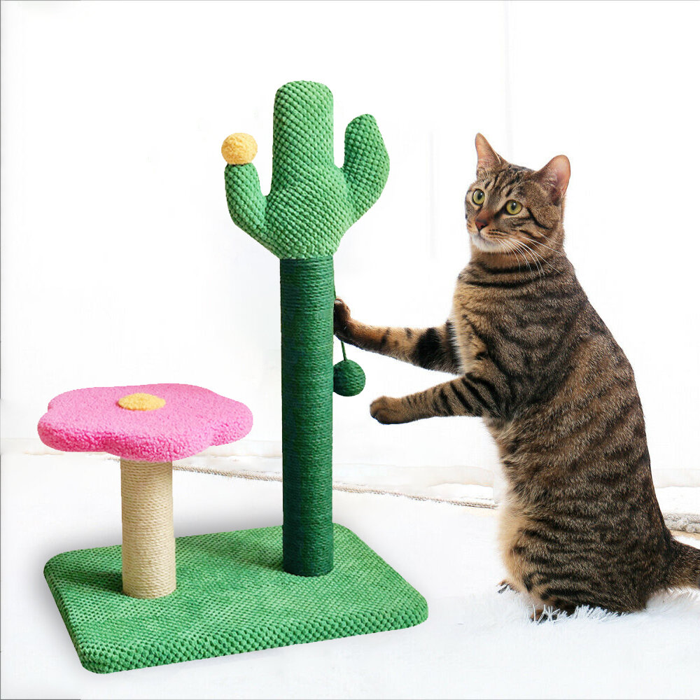 Image of Cat Tree Climbing Cactus Scratching Post Jumping Furniture Pet Supplies Puppy Dog Training Toy