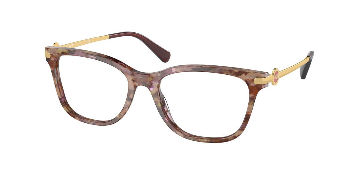 Image of Coach HC6176 5739 Óculos de Grau Tortoiseshell Feminino PRT