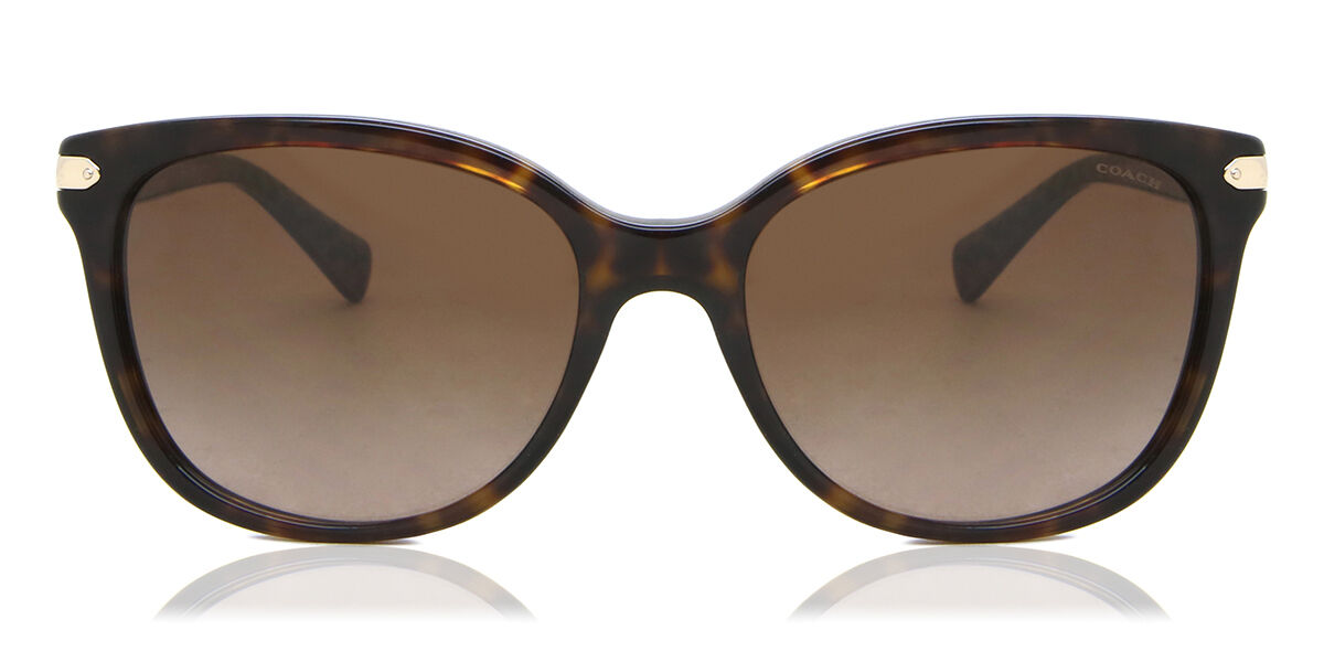 Image of Coach HC8132 L109 529113 Óculos de Sol Tortoiseshell Feminino PRT