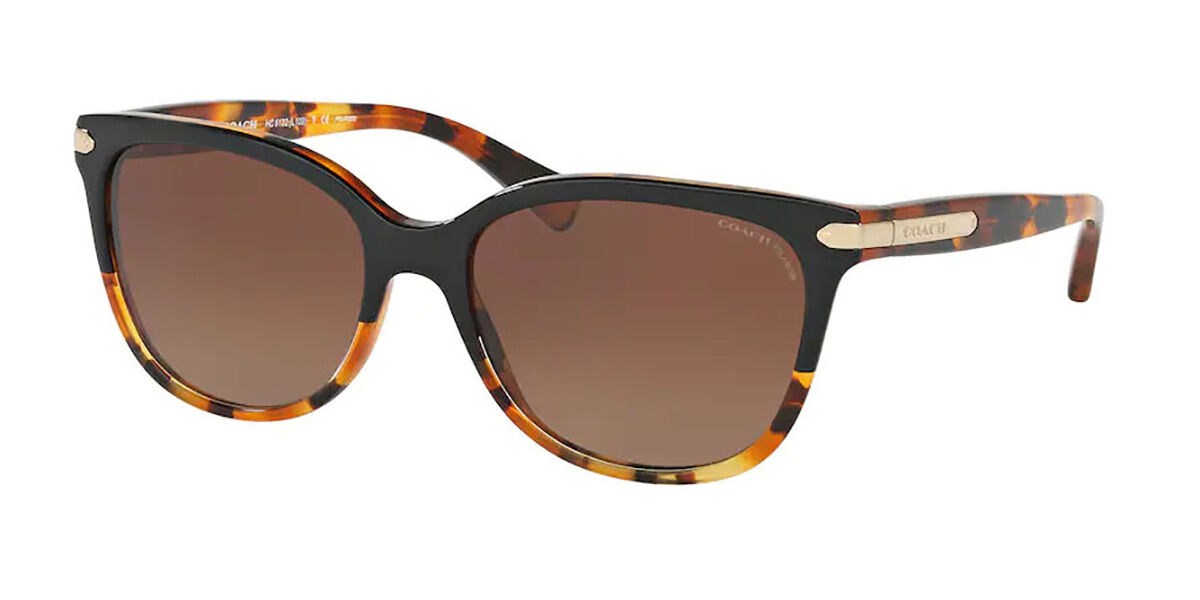 Image of Coach HC8132 L109 Polarized 5438T5 Óculos de Sol Tortoiseshell Feminino BRLPT