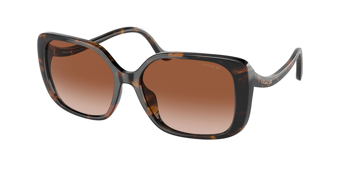 Image of Coach HC8376U CL929 512013 56 Lunettes De Soleil Femme Tortoiseshell FR