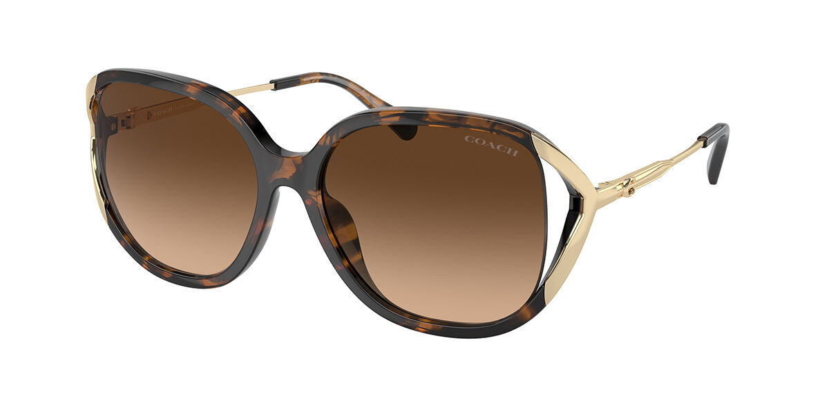 Image of Coach HC8396U CR620 512074 Óculos de Sol Tortoiseshell Feminino BRLPT