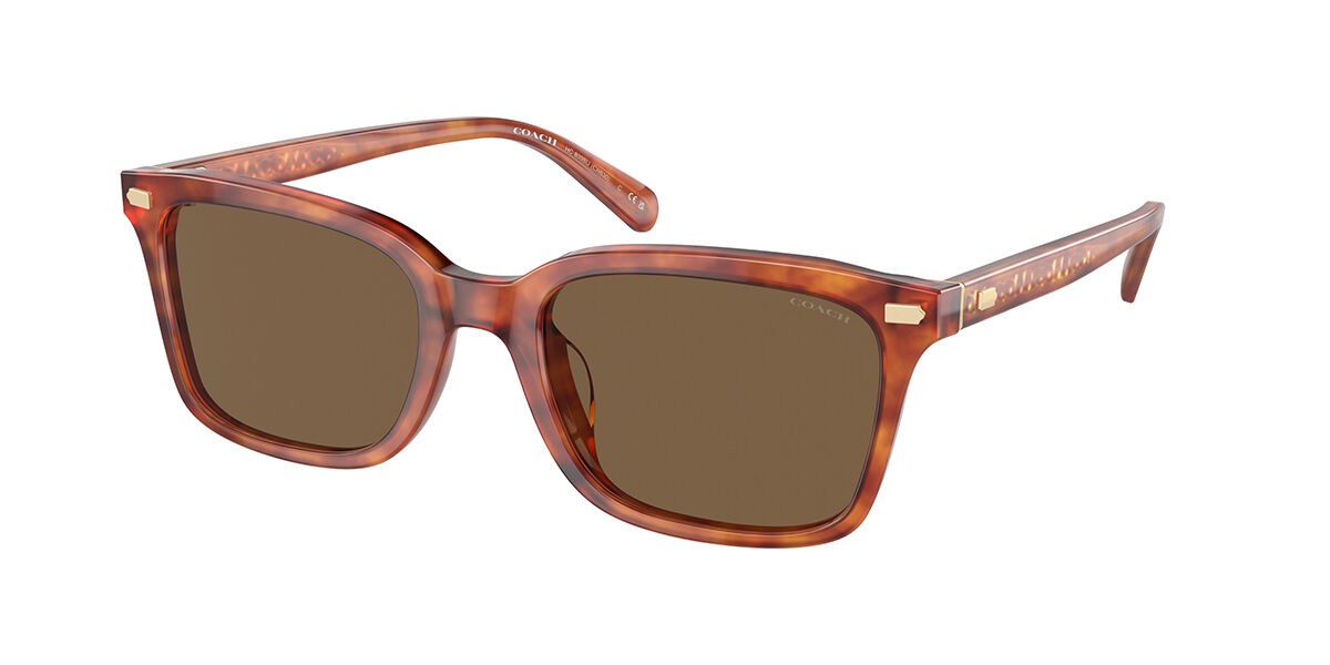 Image of Coach HC8398U CR630 577473 Óculos de Sol Tortoiseshell Masculino BRLPT