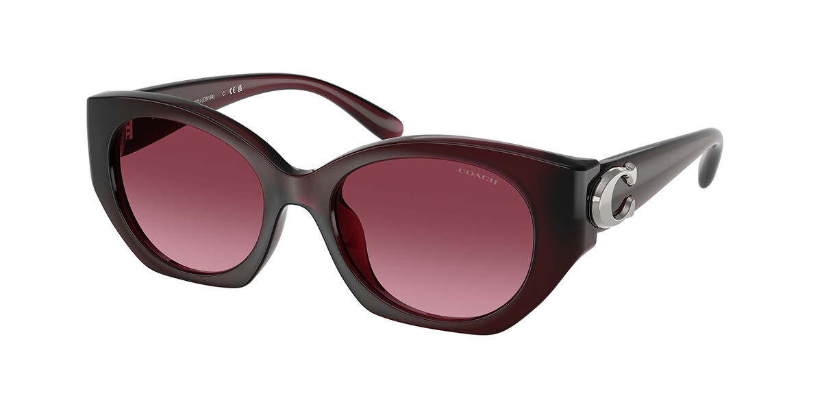 Image of Coach HC8407U CW194 53938H Gafas de Sol para Mujer Borgoña ESP