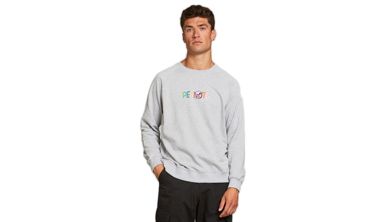 Image of Dedicated Sweatshirt Malmoe Peanuts Logo Grey Melange SK