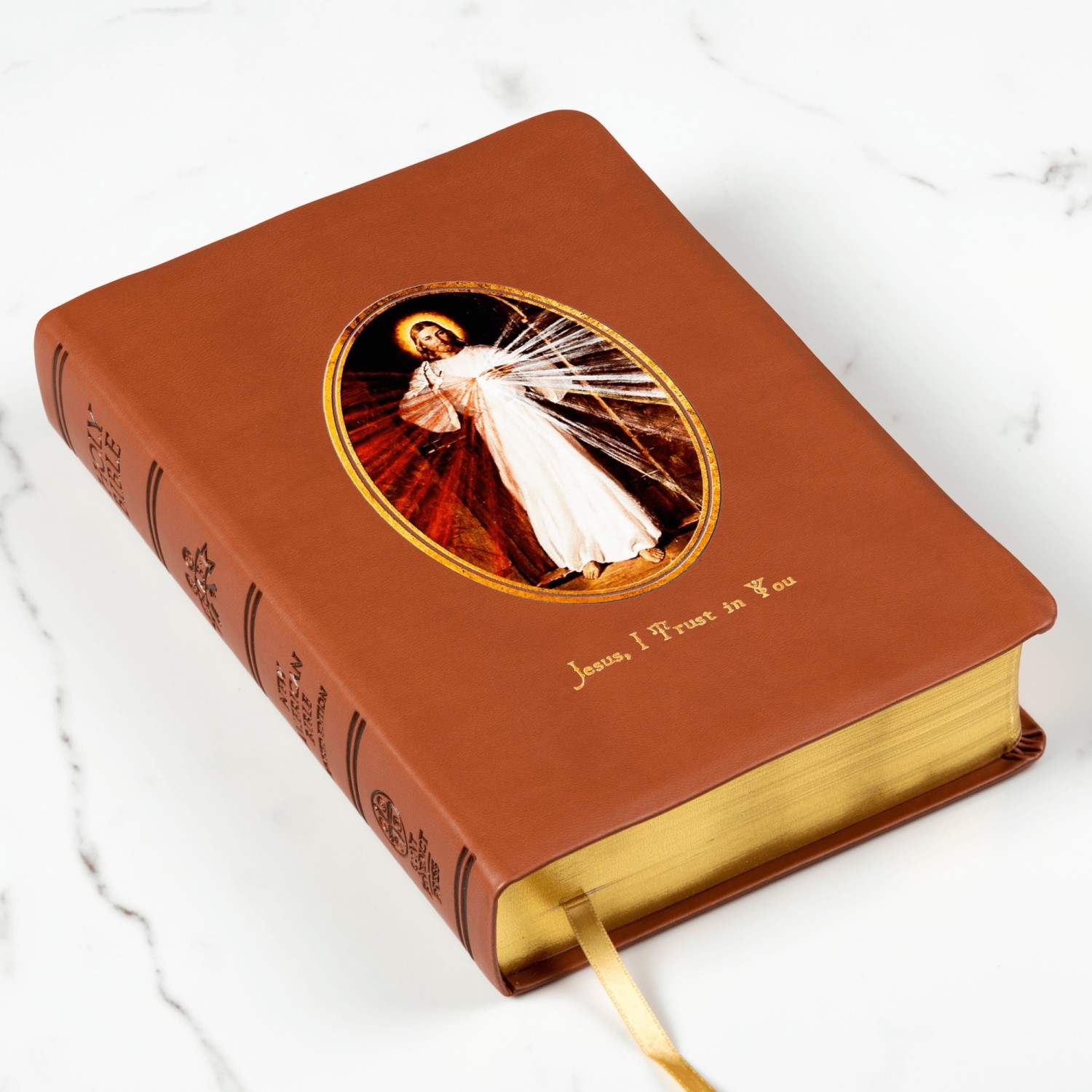 Image of Divine Mercy Bible