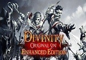 Image of Divinity: Original Sin Enhanced Edition Collector's Edition GOG CD Key TR