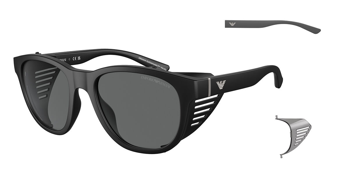 Image of Emporio Armani EA4216U 500187 56 Lunettes De Soleil Homme Noires FR