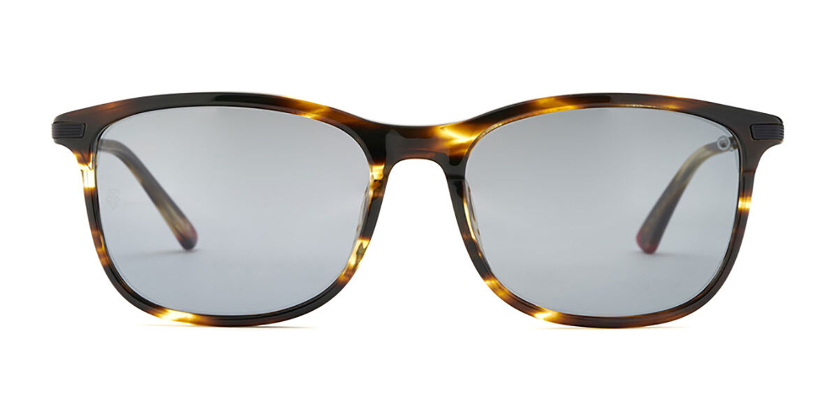 Image of Etnia Barcelona Bond Sun HVRD Óculos de Sol Tortoiseshell Masculino PRT