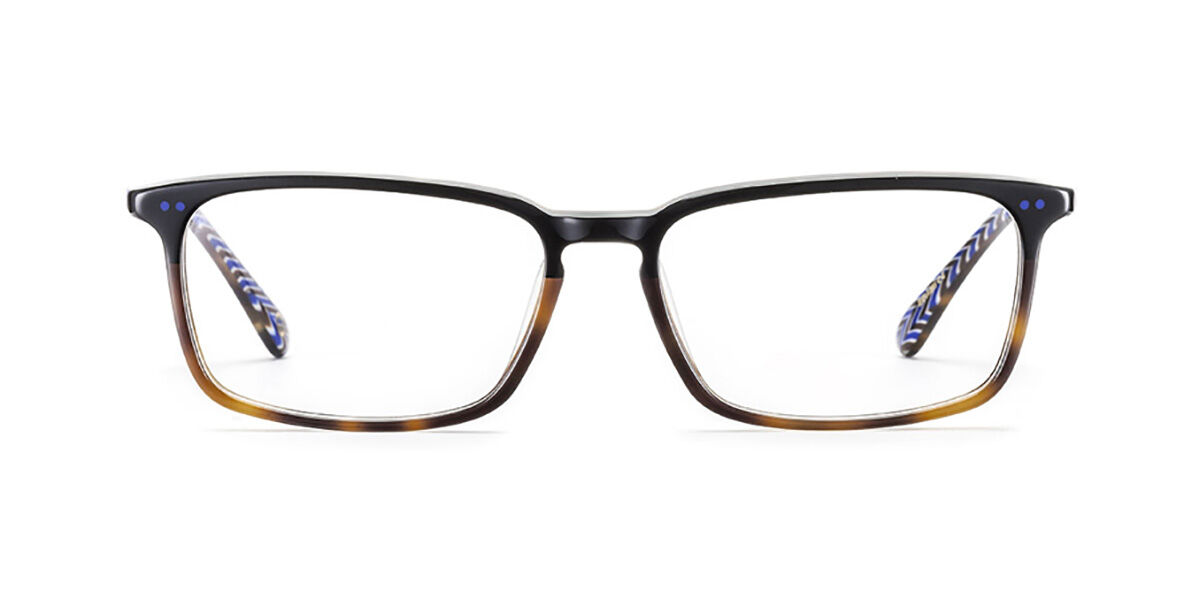 Image of Etnia Barcelona Everglades HVBL Óculos de Grau Tortoiseshell Masculino BRLPT