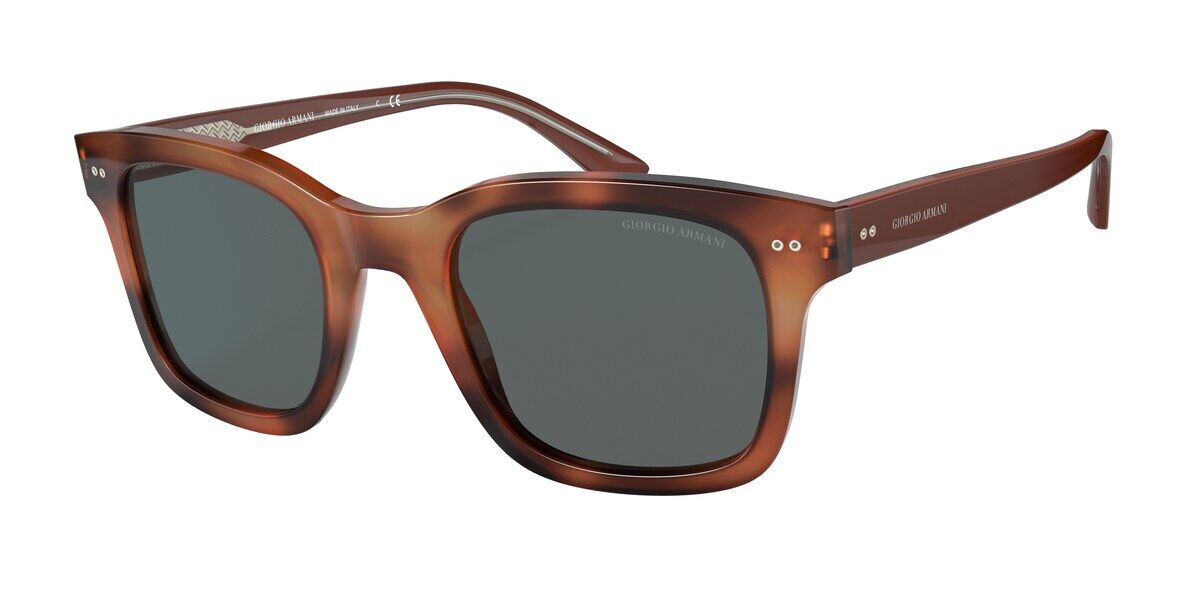 Image of Giorgio Armani AR8138 5573B1 Óculos de Sol Marrons Masculino BRLPT