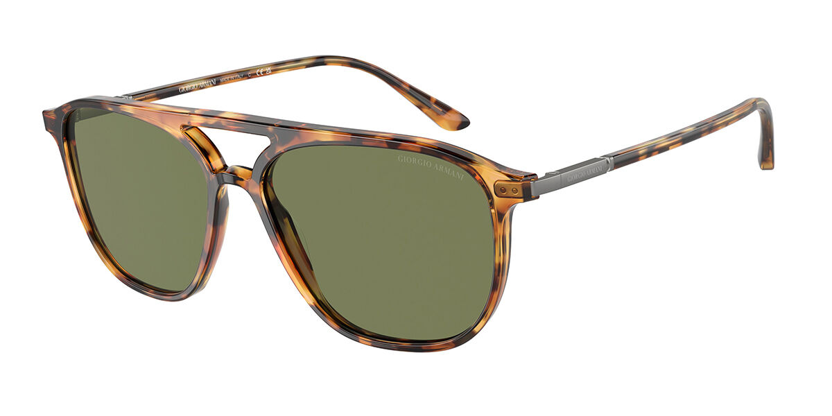 Image of Giorgio Armani AR8179 54822A Óculos de Sol Tortoiseshell Masculino BRLPT