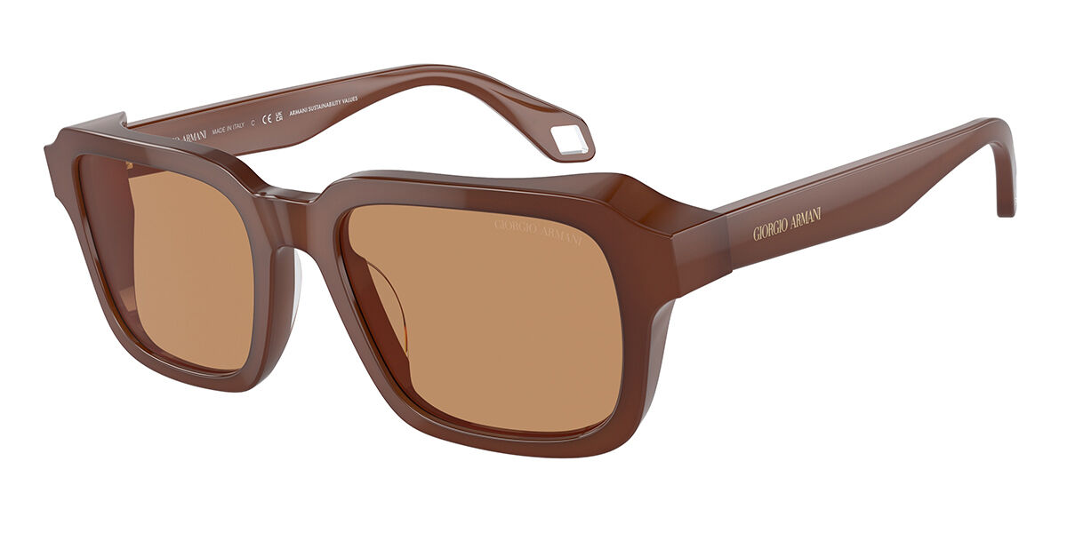 Image of Giorgio Armani AR8194U 604253 Óculos de Sol Marrons Masculino PRT