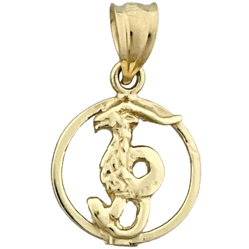 Image of ID 1 14K Gold Capricorn Zodiac Circle Charm
