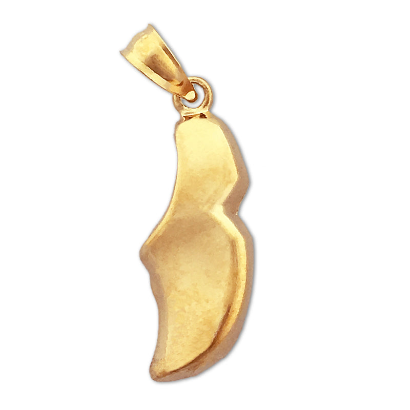 Image of ID 1 14K Gold Dutch Clog Charm