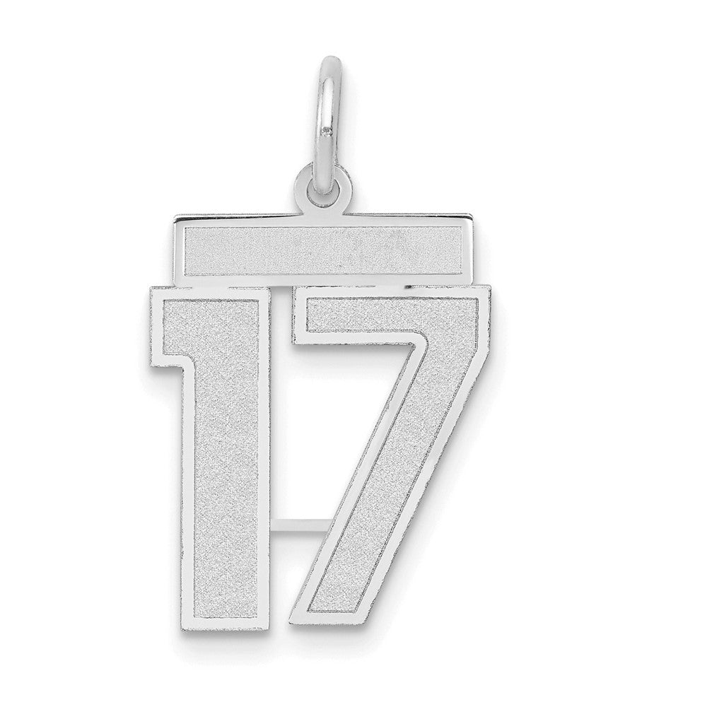 Image of ID 1 14k White Goldw Medium Satin Number 17 Charm