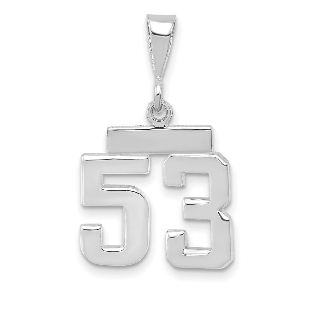 Image of ID 1 14k White Goldw Small Polished Number 53 Charm