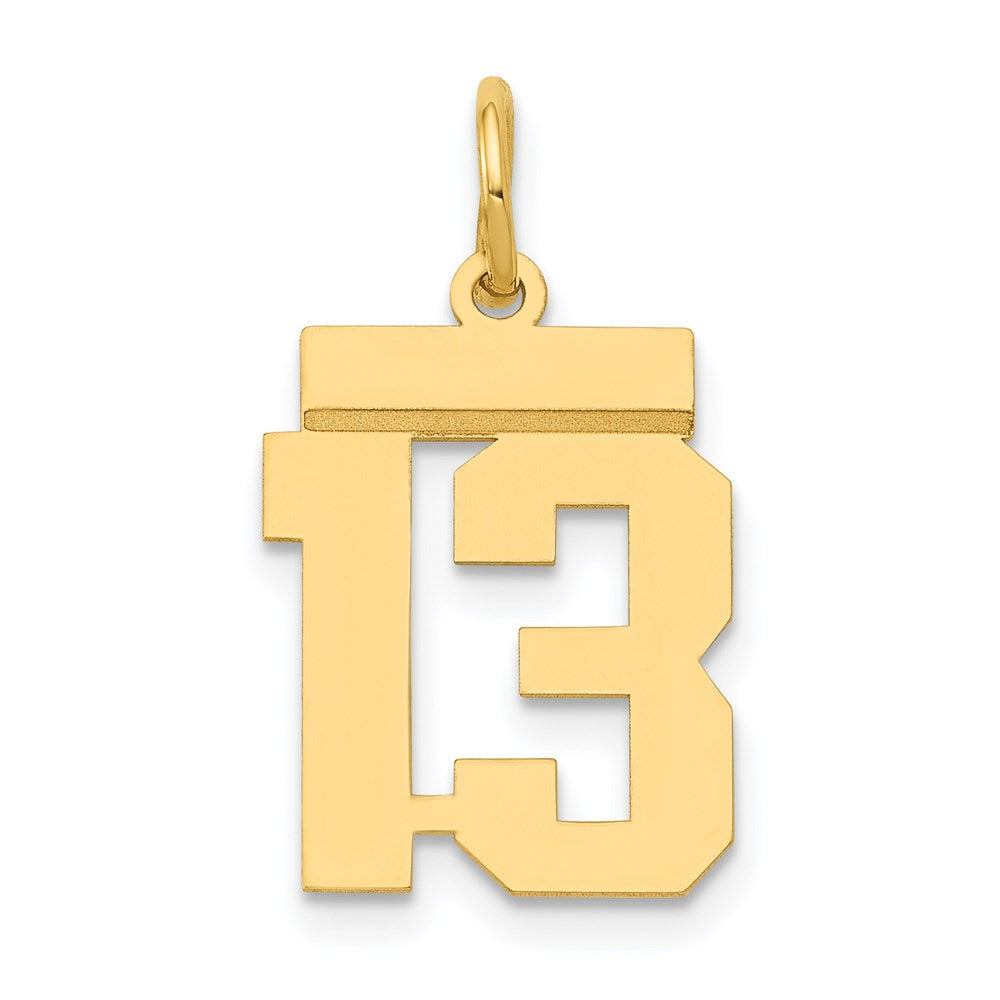 Image of ID 1 14k Yellow Gold Small Polished Number 13 Charm