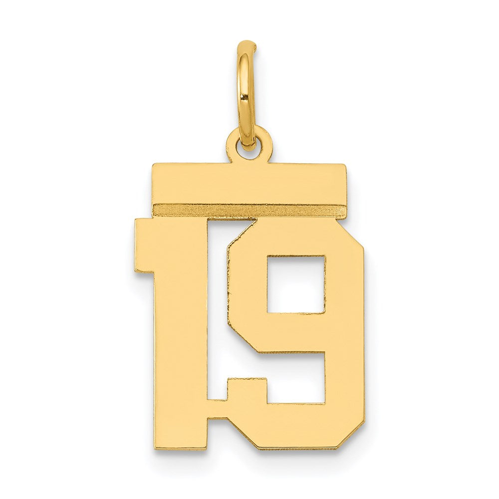 Image of ID 1 14k Yellow Gold Small Polished Number 19 Charm