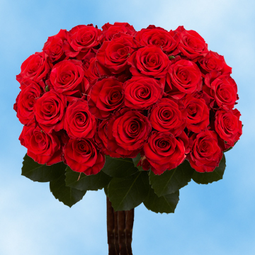 Image of ID 494176261 75 Red Roses Free Delivery
