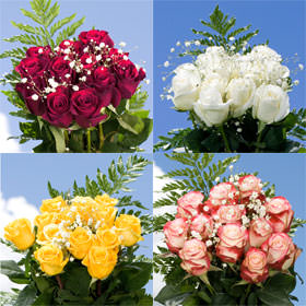 Image of ID 495070413 16 Dozen Roses Pick 16 Colors