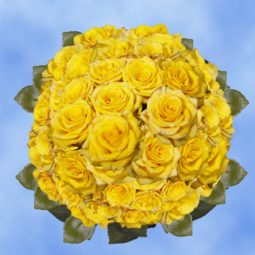 Image of ID 495070424 150 Yellow/Touch of Red Roses