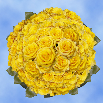 Image of ID 495070426 200 Yellow/Touch of Red Roses