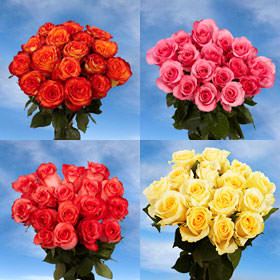 Image of ID 495070431 72 Your Choice Color Roses