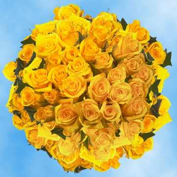 Image of ID 495070453 200 Yellow Valentine's Roses