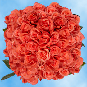 Image of ID 495070564 200 Fresh Light Orange Roses