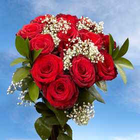 Image of ID 495070619 14 Dozen Red Roses + Fillers