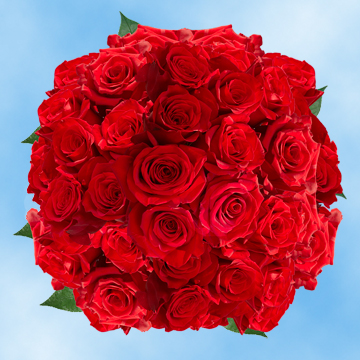 Image of ID 495070725 150 Freedom Red Roses