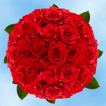 Image of ID 495070746 100 Freedom Red Roses