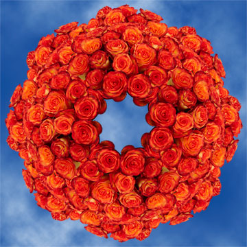Image of ID 495070973 250 Fresh Yellow/Orange Roses