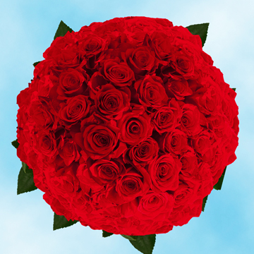 Image of ID 495071038 200 Fresh Cut Dark Red Roses
