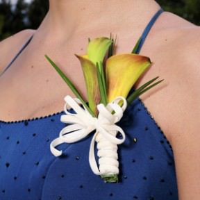 Image of ID 495071204 30 Boutonniers & Corsages