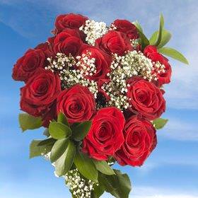 Image of ID 495071218 16 Dozen Red Roses + Fillers
