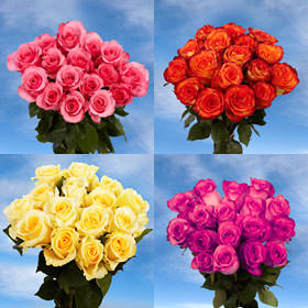 Image of ID 495071248 16 Dozen Roses Pick 16 Colors