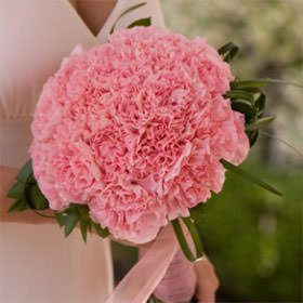 Image of ID 495071265 25 Carnations Bridal Bouquet