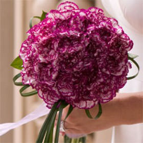 Image of ID 495071266 25 Carnations Bridal Bouquet
