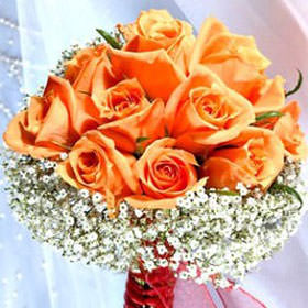 Image of ID 495071306 13 Roses and Gypso Bouquet