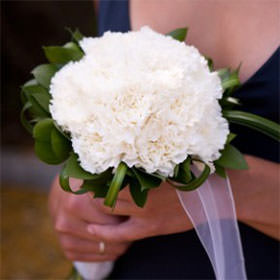 Image of ID 495071315 6 Bridal Bouquets White Roses