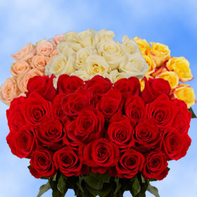 Image of ID 495071371 75 Roses: 25 Red 50 Assorted