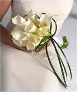 Image of ID 495071374 Calla Lilies Bridal Bouquet